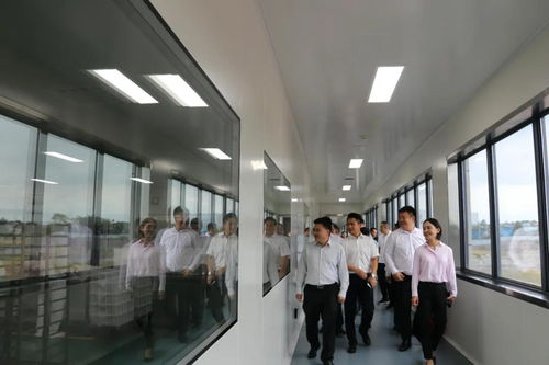 省市場監(jiān)管局局長萬鵬龍調研我市食品安全工作要求 壓實主體責任加強監(jiān)管力度