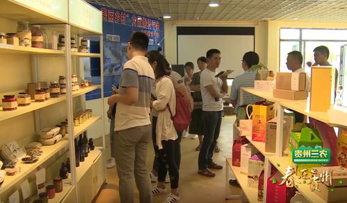 數說貴州 數字鄉村的貴州實踐，智慧生活織就智富夢